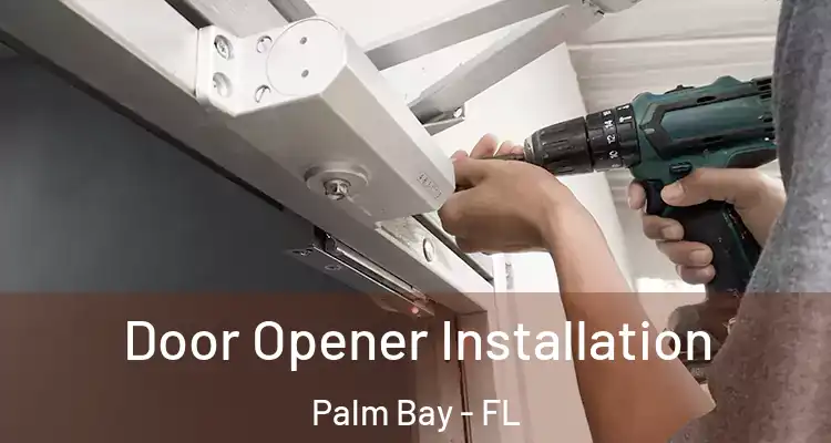  Door Opener Installation Palm Bay - FL
