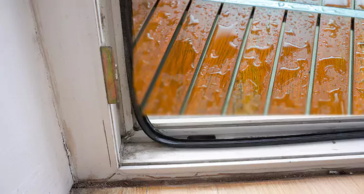 Water Leaking Wooden Patio Doors Repair in Palm Bay, FL