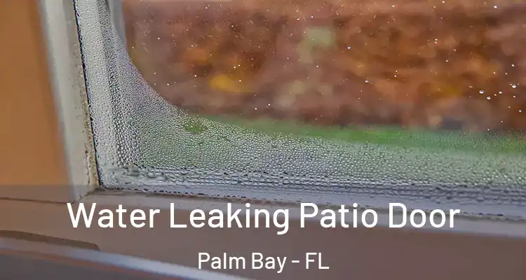  Water Leaking Patio Door Palm Bay - FL